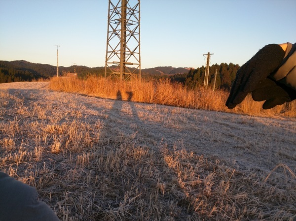 b0183583_13075828.jpg