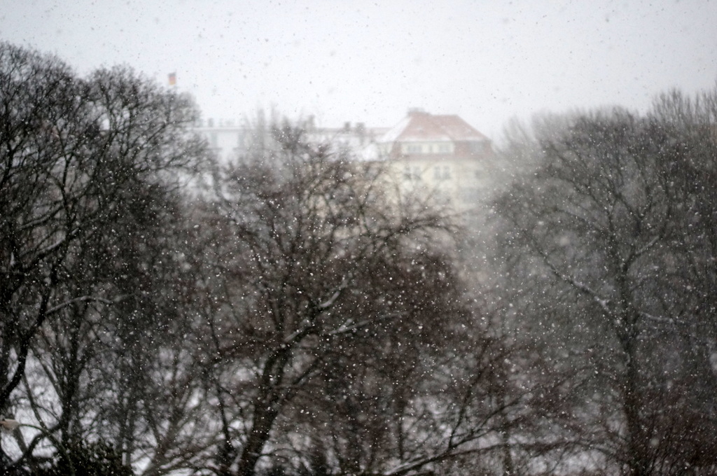 水曜日は午後から大雪のベルリンでした。_c0180686_04145315.jpg