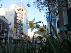b0192588_9282893.jpg