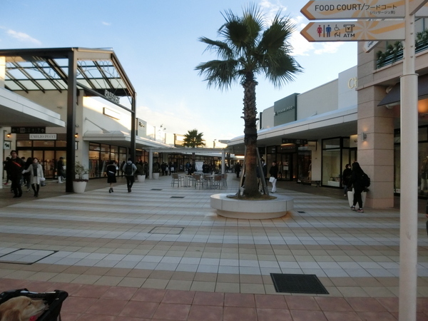 d0098295_17050289.jpg