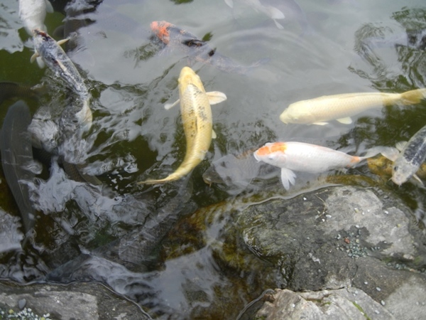 福岡県の三社参りに_c0361298_22521679.jpg