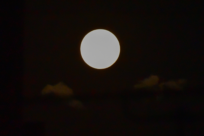 c0049299_19261969.jpg