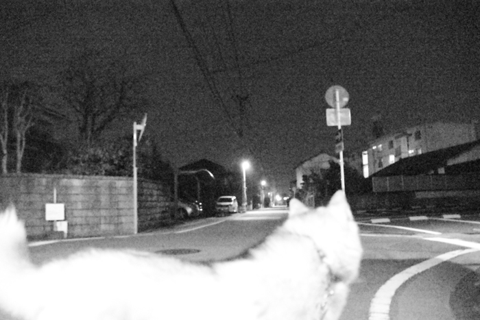 c0049299_19421934.jpg