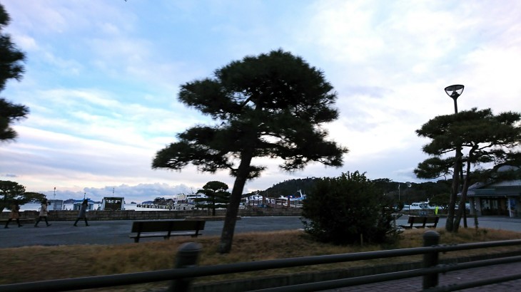 松島海岸大寒波到来!?_b0083801_18110764.jpg