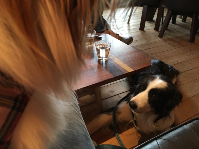 f0034602_18243780.jpeg