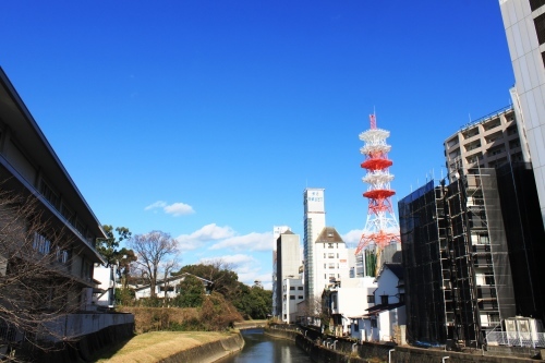 熊本新町ぶらり～その１０（船場橋から望む熊本城）。_c0368903_16473405.jpg