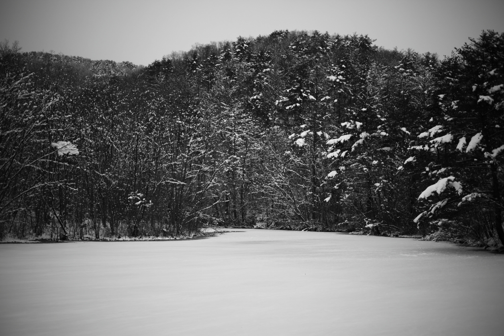 b0050305_21561343.jpg