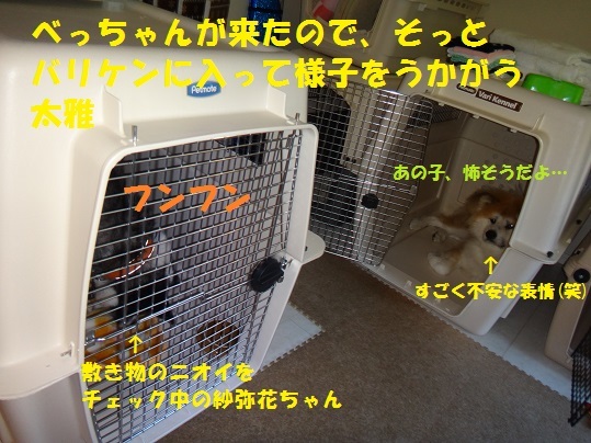 f0121712_18100146.jpg