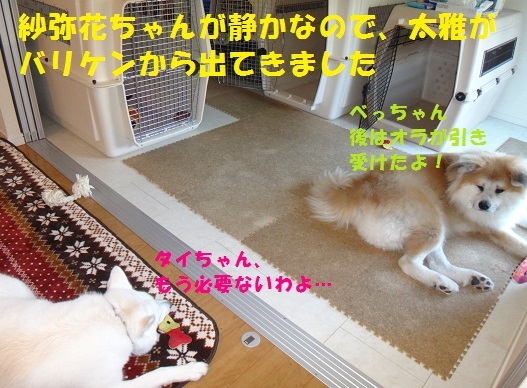 f0121712_18153832.jpg
