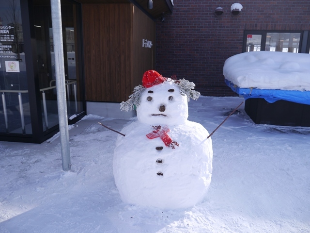 冬のガーデンスタート！今年も雪だるまを作りました_e0336214_16015876.jpg