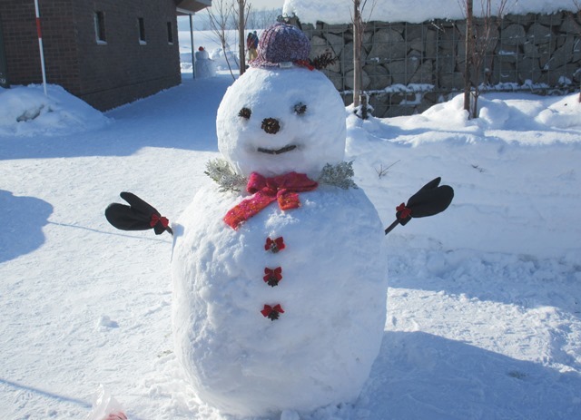 冬のガーデンスタート！今年も雪だるまを作りました_e0336214_16022740.jpg