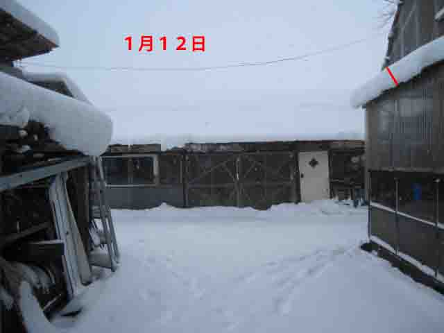 a0023916_15383693.jpg