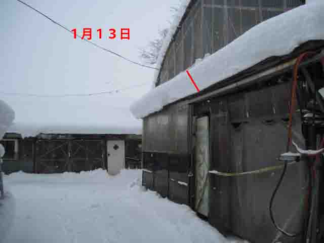 a0023916_1539196.jpg