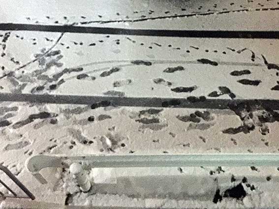 c0016718_2105836.jpg