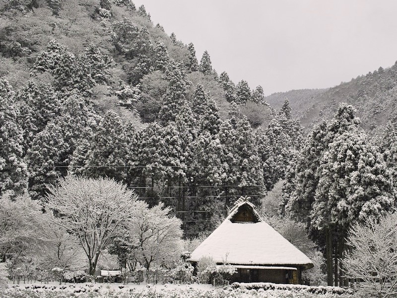 新雪が20㎝・・・・朽木小川・気象台より_c0044819_9585566.jpg