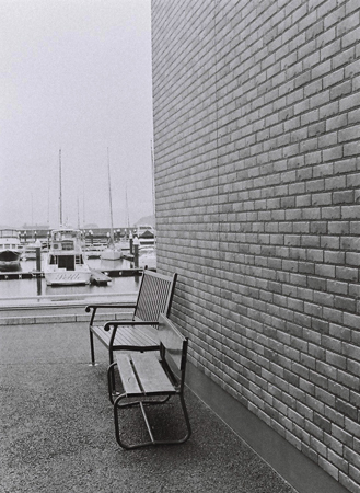 a0145825_2230828.jpg