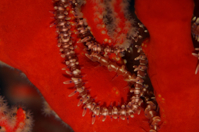 c0034029_9453356.jpg