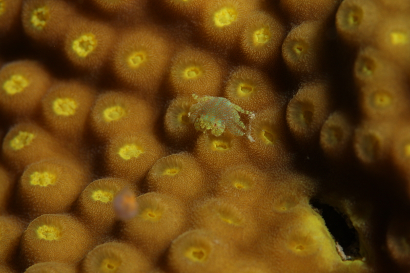 c0034029_9453559.jpg