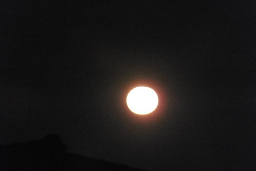 柑橘で風予防...夜空には満月_b0137932_13353244.jpg