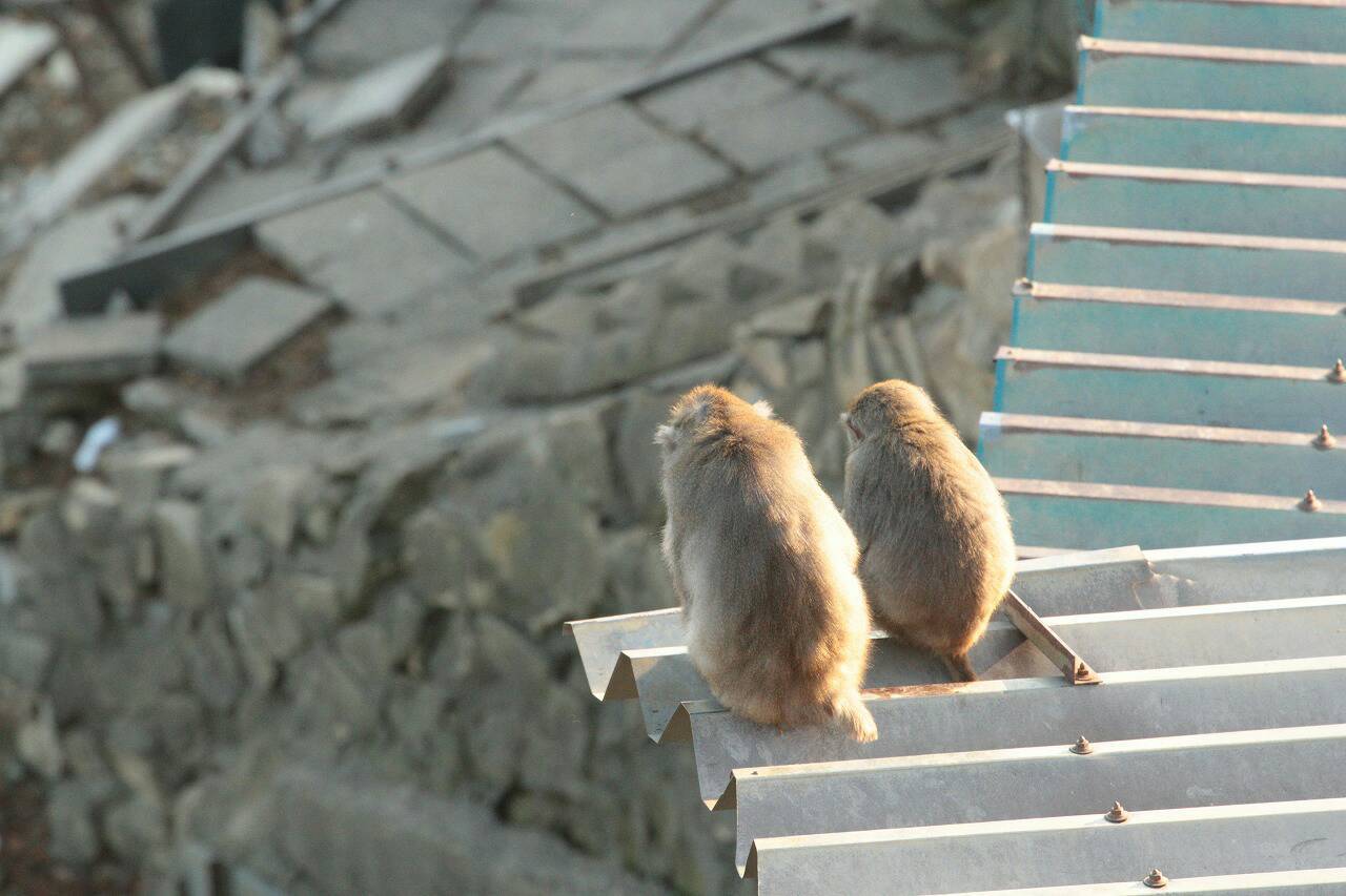 ぶらり鬼怒川・宇都宮・那須塩原_b0139233_10245760.jpg