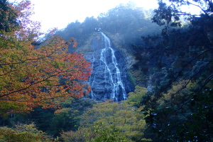 e0200734_1736540.jpg
