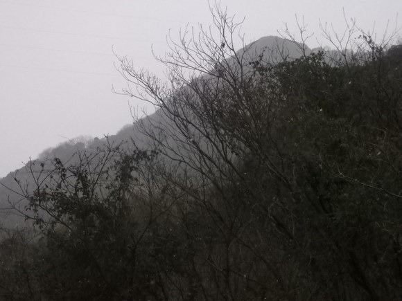 a0054240_19572455.jpg
