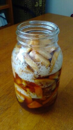 170114 手作りフルーツ酵素発酵完了!_f0164842_19431114.jpg