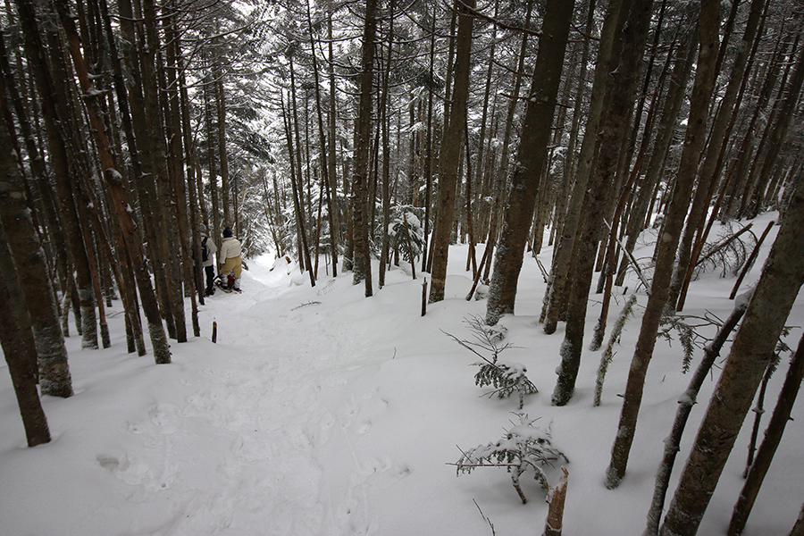 c0035245_00351414.jpg