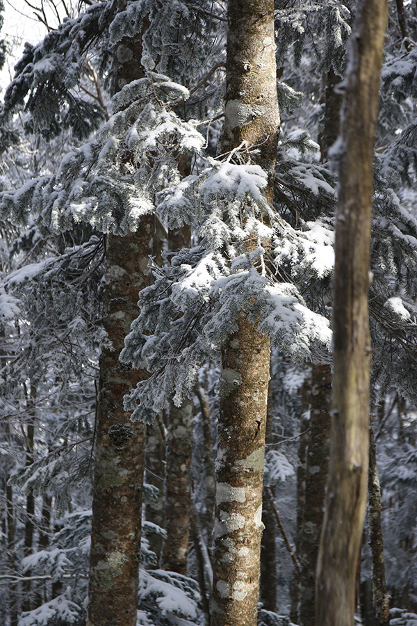 c0035245_00381654.jpg