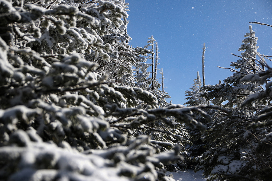 c0035245_00462666.jpg