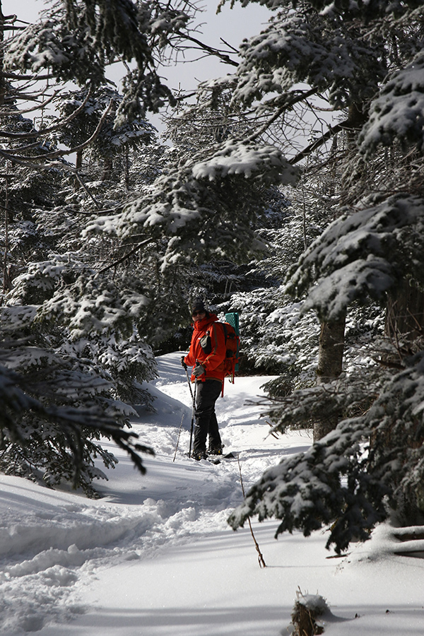 c0035245_21540685.jpg