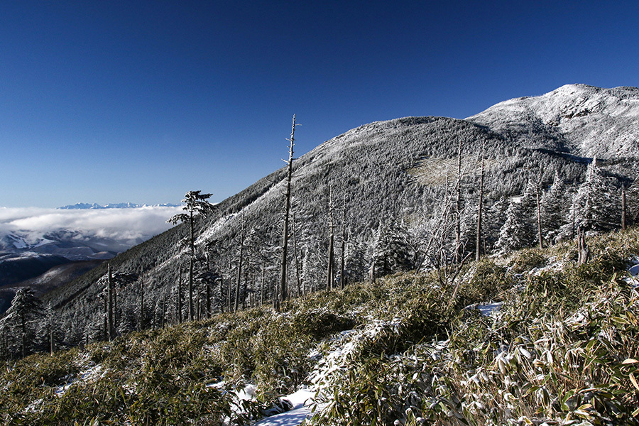 c0035245_21564474.jpg