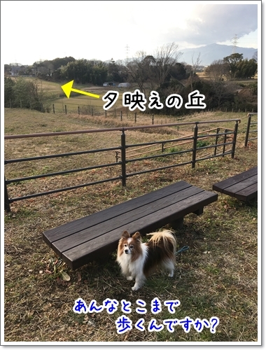 d0013149_00033226.jpeg