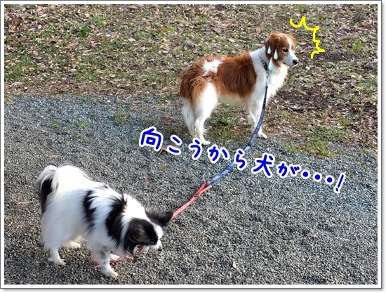 d0013149_00035644.jpeg