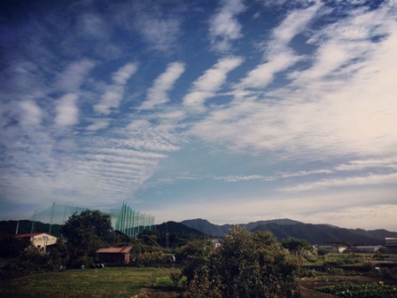 b0173754_00054175.jpg