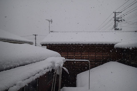 a0083760_11452628.jpg