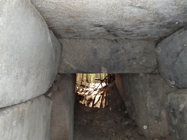 b0044663_2146574.jpg