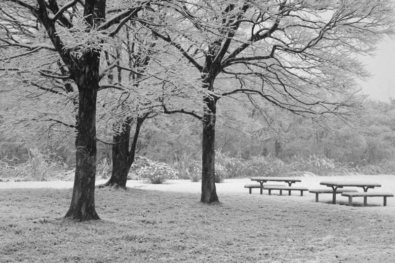 e0340268_20115975.jpg