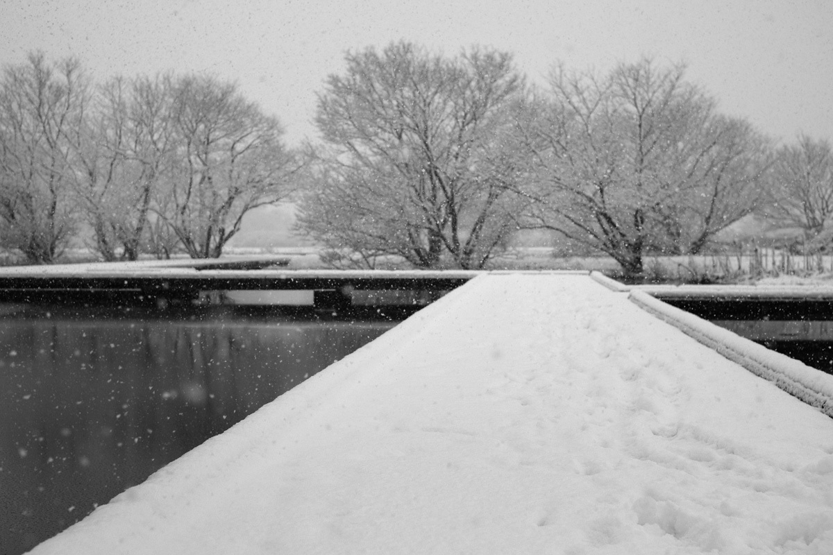 e0340268_20121097.jpg