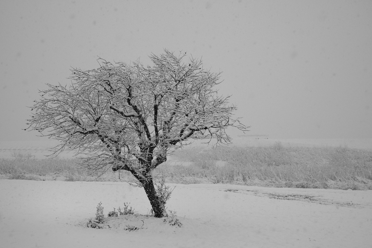 e0340268_20121466.jpg