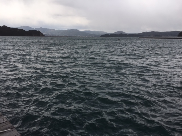 時化ちょります _a0077071_11584563.jpg