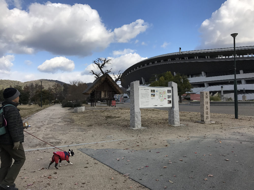 岡大ロング散歩、受験生がんばって♪_b0184877_21174726.jpg