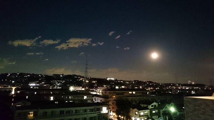 f0138278_1344571.jpg