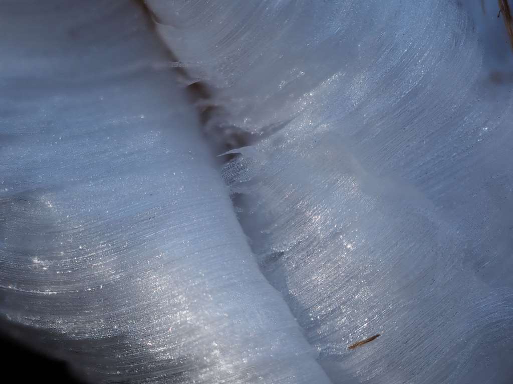 f0224100_20431983.jpg