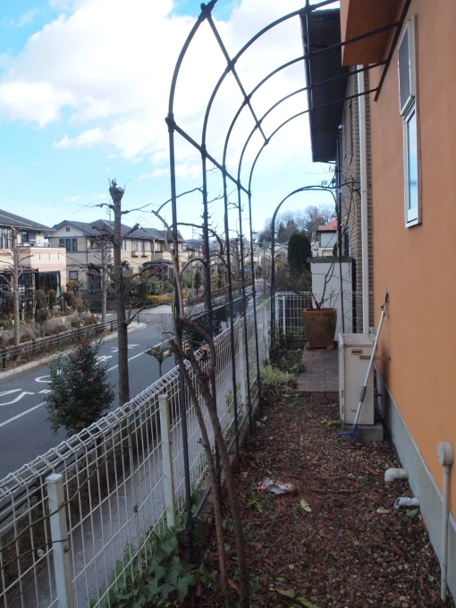 庭は改装中♪_b0331802_10491009.jpg