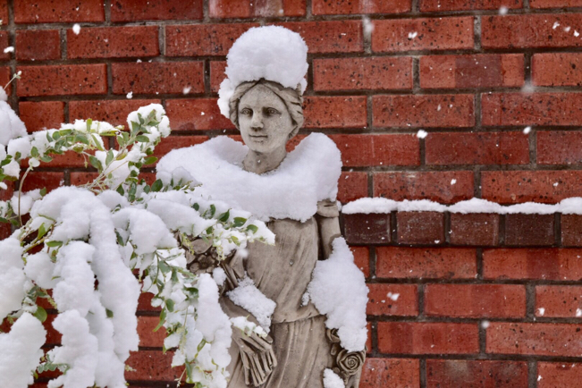 真っ白な雪をまとったセレブな薔薇の女神さま。。。_e0346002_12450802.jpg