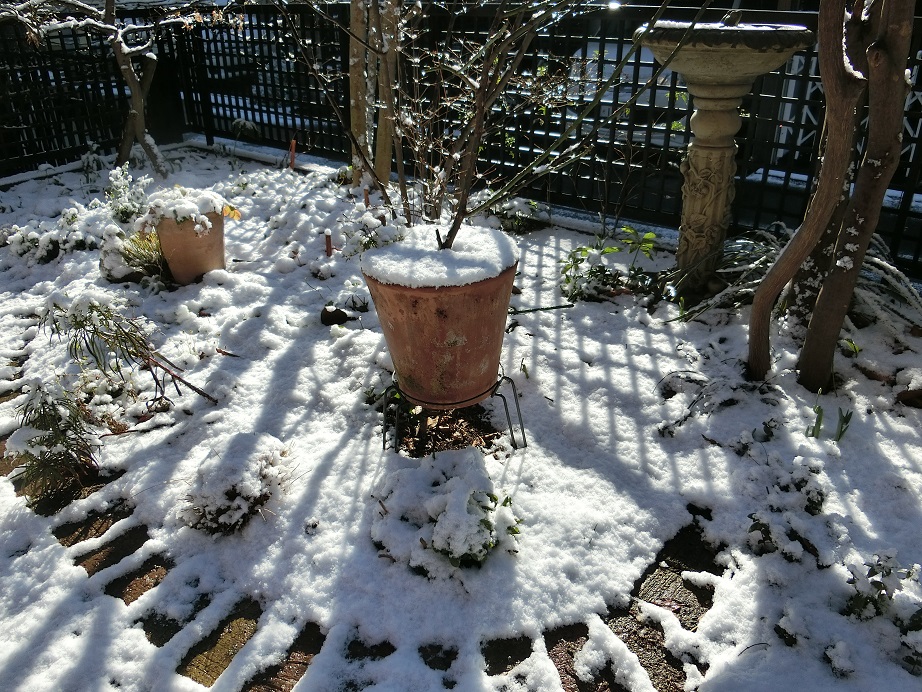 e0234004_20373638.jpg