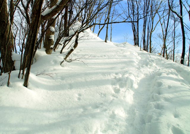 2017年１月15日（日）　三角山～大倉山～奥三角山(標高354m)_a0345007_2111507.jpg