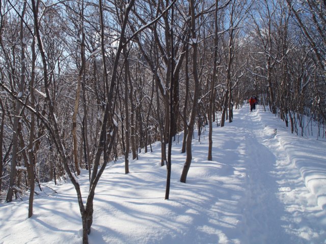 2017年１月15日（日）　三角山～大倉山～奥三角山(標高354m)_a0345007_2122262.jpg