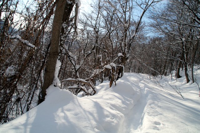 2017年１月15日（日）　三角山～大倉山～奥三角山(標高354m)_a0345007_2131192.jpg